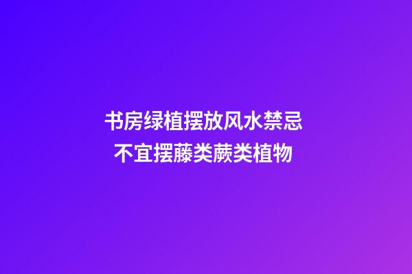 书房绿植摆放风水禁忌   不宜摆藤类蕨类植物